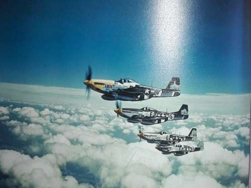 P-51 Mustang - William Newby Grant