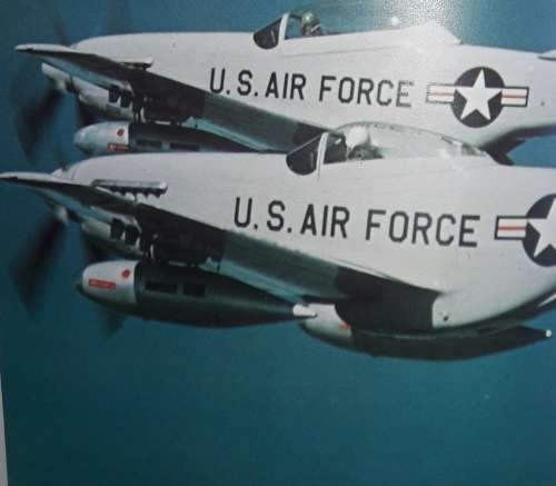 P-51 Mustang - William Newby Grant