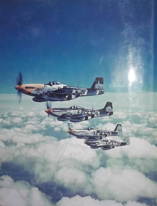 P-51 Mustang - William Newby Grant