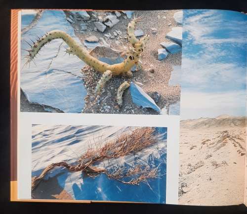 Desertscapes of Namibia by Jéan du Plessis