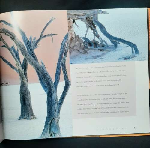 Desertscapes of Namibia by Jéan du Plessis