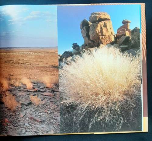 Desertscapes of Namibia by Jéan du Plessis