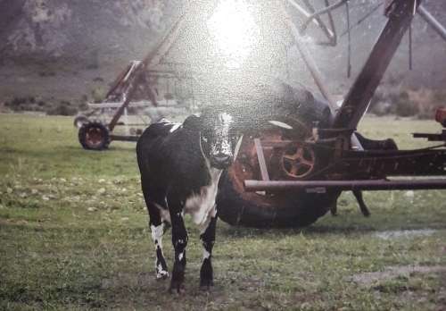 Moments in Time -   Field Guides of the Eastern Cape - R Boswell, R Pillay & Jill Thornton