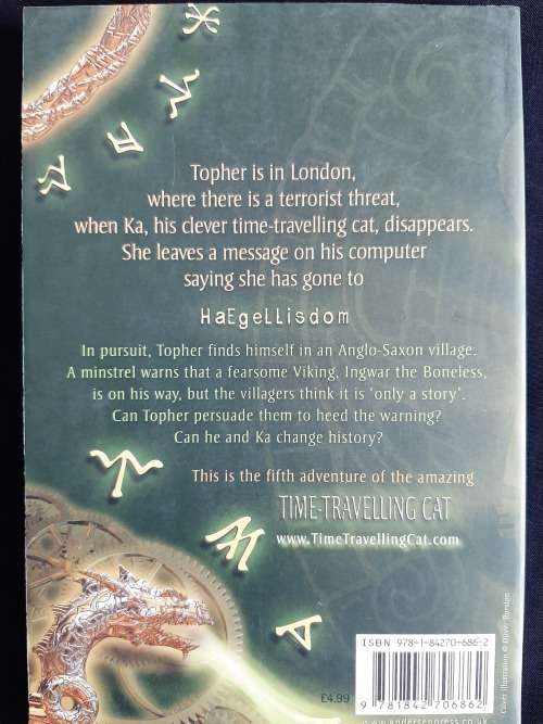 The Time Travelling Cat & The Viking Terror by Julia Jarman