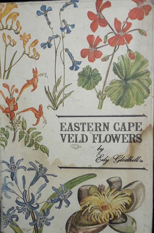 Eastern Cape Veld Flowers - Eily Gledhill