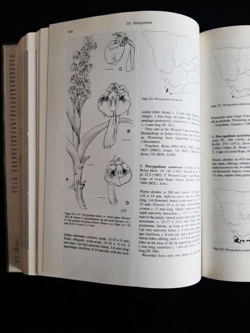 Orchids of Southern Africa by H.P. Linder & H. Kurzweil