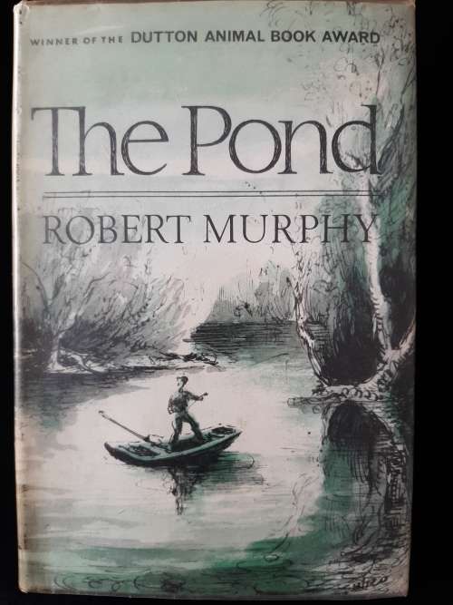 The Pond by Robert Murphy