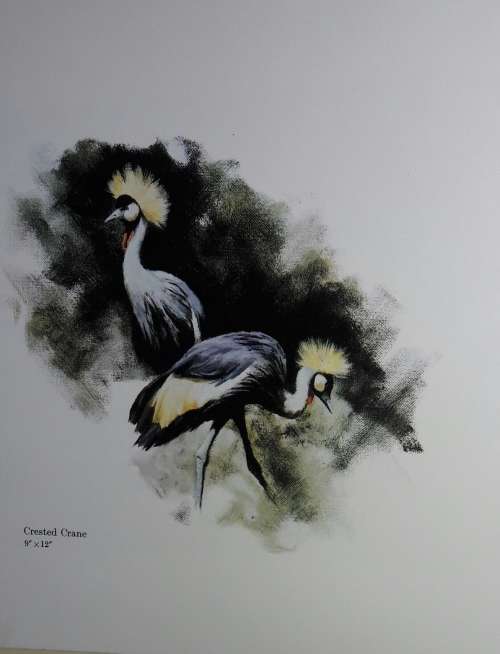 An Artist in Africa - David Shepherd