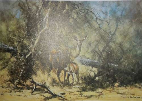 An Artist in Africa - David Shepherd