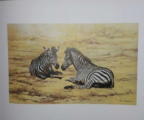 An Artist in Africa - David Shepherd