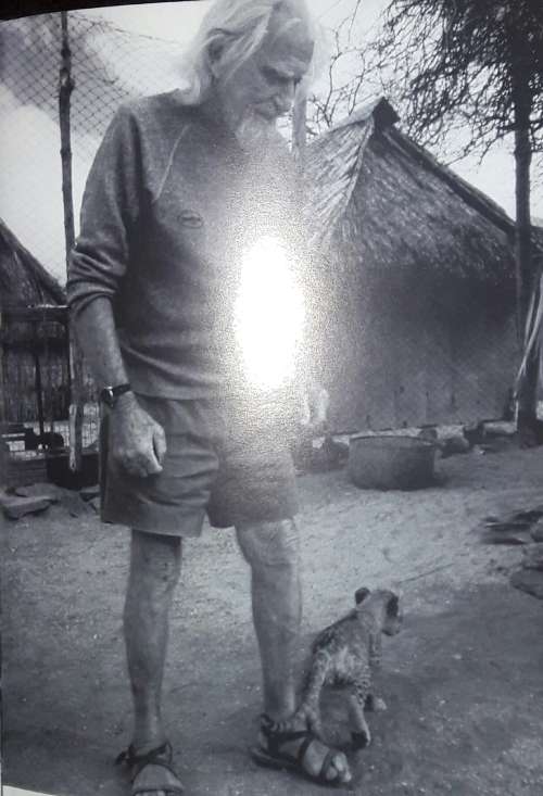 The Lions` Legacy - Gareth Patterson