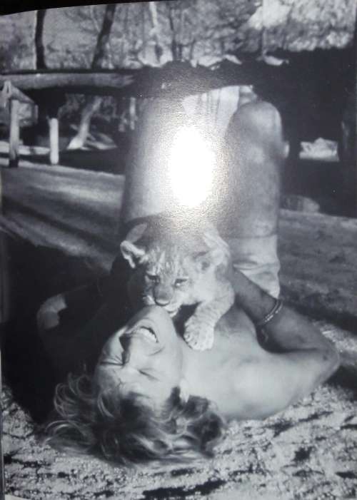 The Lions` Legacy - Gareth Patterson