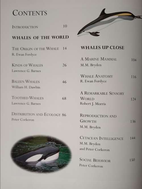 Whales, Dolphins & Porpoises by Mark Carwardine(Consultant Editor)