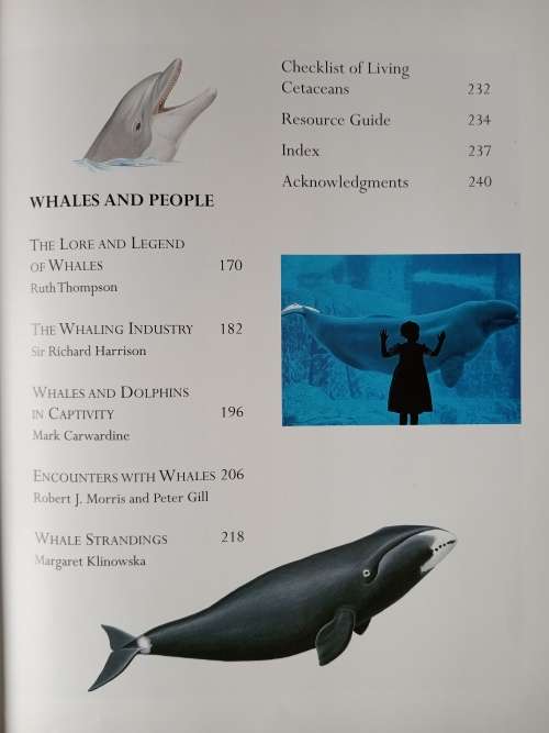Whales, Dolphins & Porpoises by Mark Carwardine(Consultant Editor)
