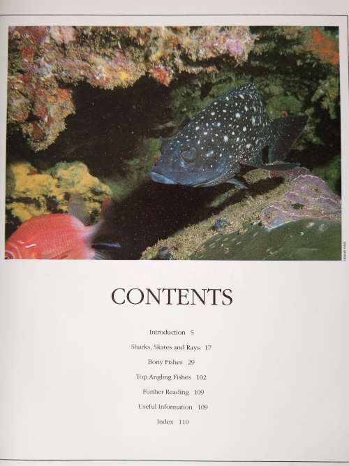 Everyone`s Guide to Sea Fishes of Southern Africa by Rudy van der Elst