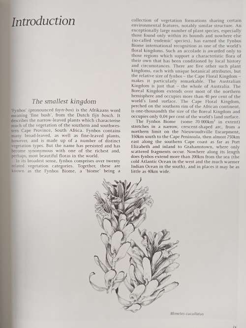A Fynbos Year - Illustrated by Liz McMahon with text by Michael Fraser