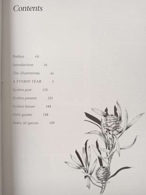 A Fynbos Year - Illustrated by Liz McMahon with text by Michael Fraser