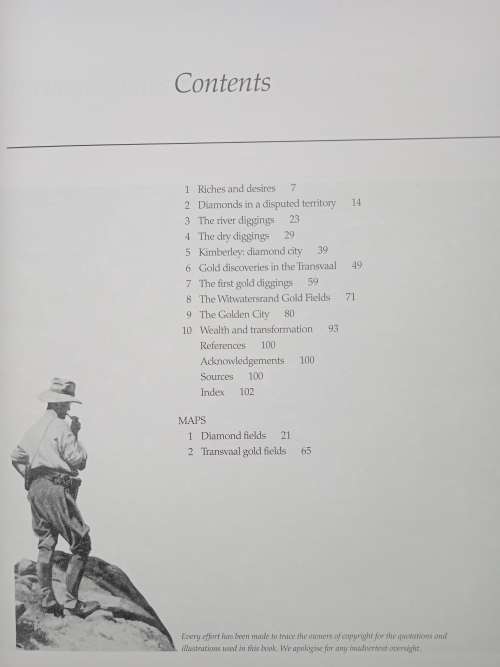 The Discovery of Wealth (19th Century Heritage Series) by Diko van Zyl