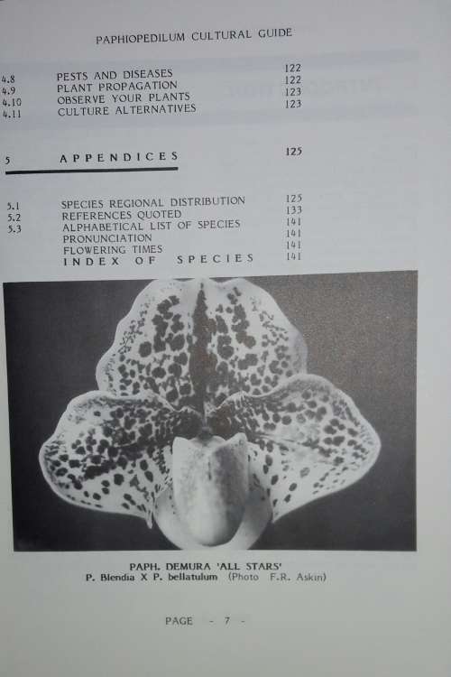 Paphiopedilums - Wellington Orchid Society