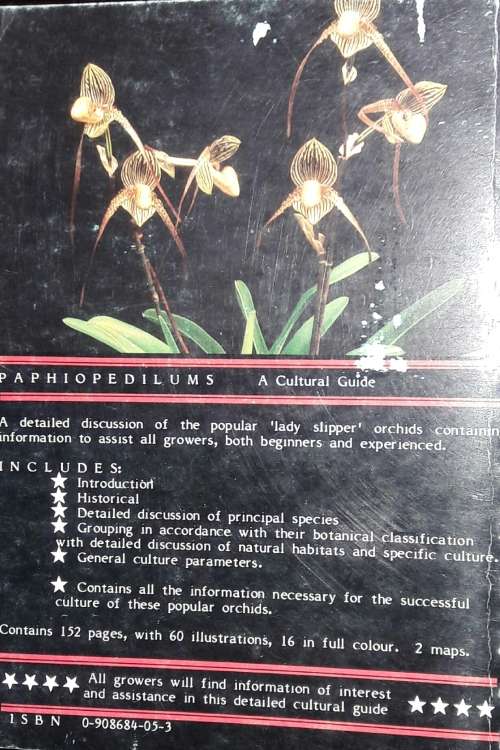 Paphiopedilums - Wellington Orchid Society