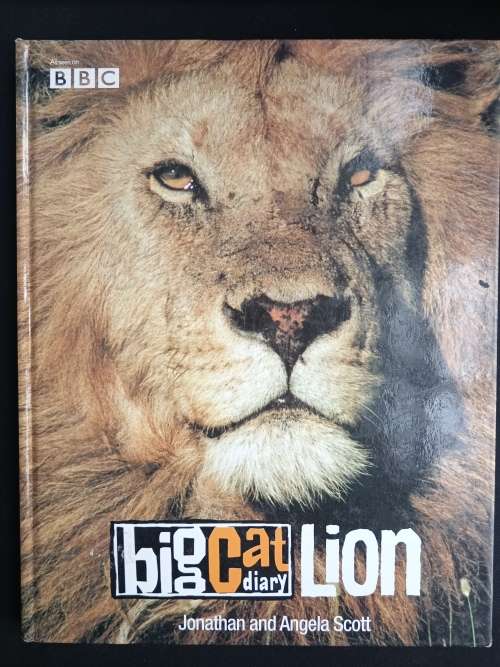 Big Cat Diary: Lion by Jonathan & Angela Scott