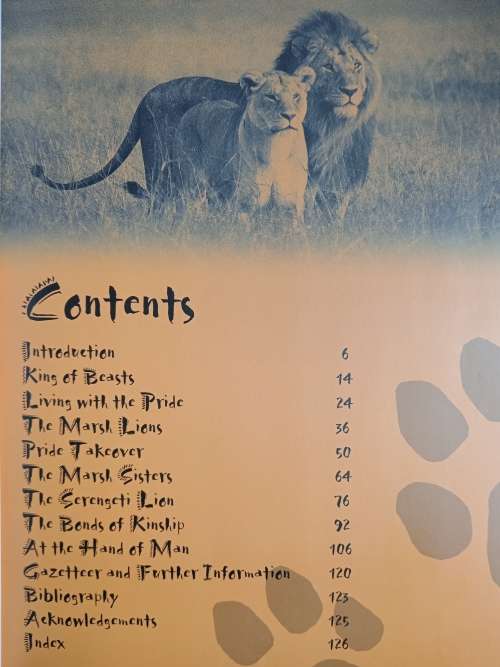Big Cat Diary: Lion by Jonathan & Angela Scott