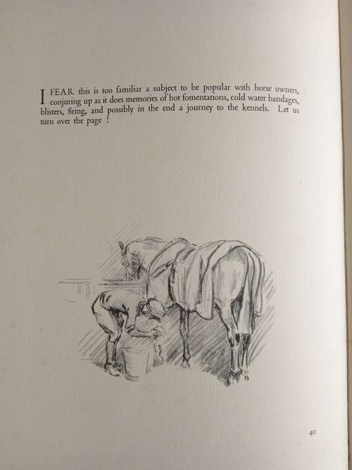 Sketches in Stable & Kennel by Lionel Edwards