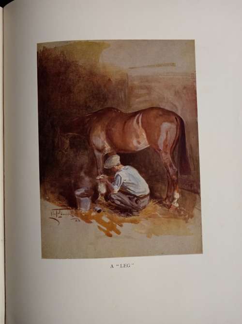 Sketches in Stable & Kennel by Lionel Edwards