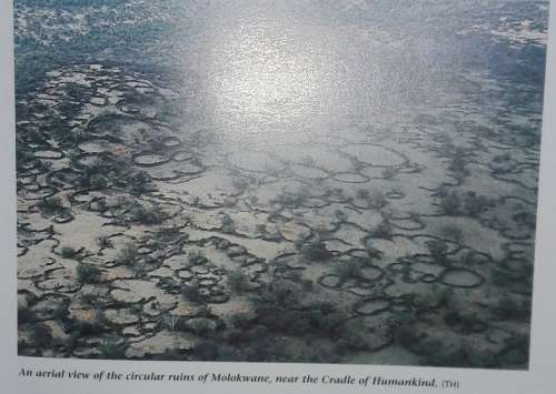 Field Guide To The Cradle Of Humankind - Brett Hilton-Barber - Prof. Lee R Berger