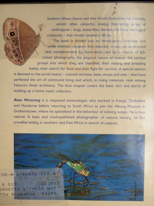 Southern African Insects & Their World by Alan Weaving