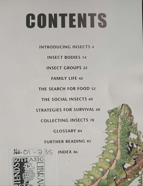 Southern African Insects & Their World by Alan Weaving