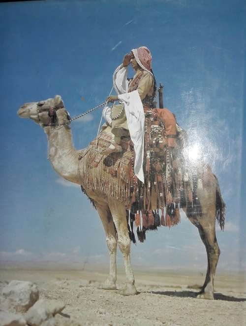 The History of the Middle East Wars - J N Westwood