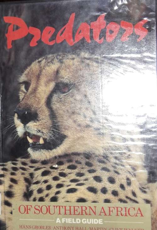 Predators Of Southern Africa