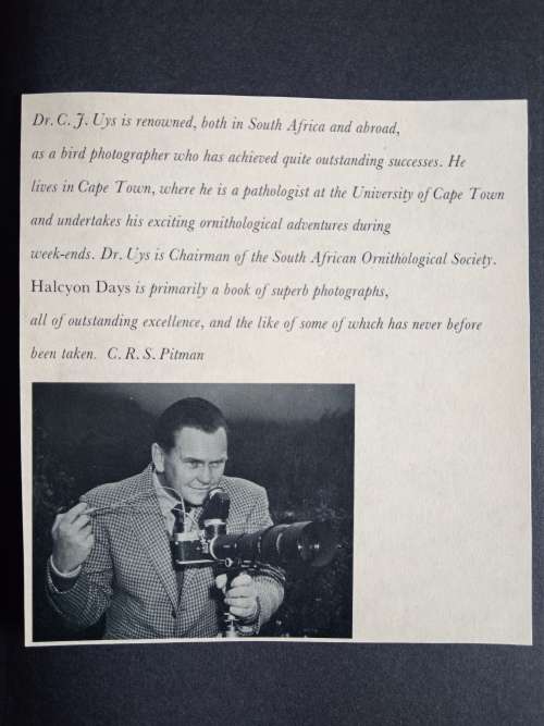Halcyon Days by C.J. Uys