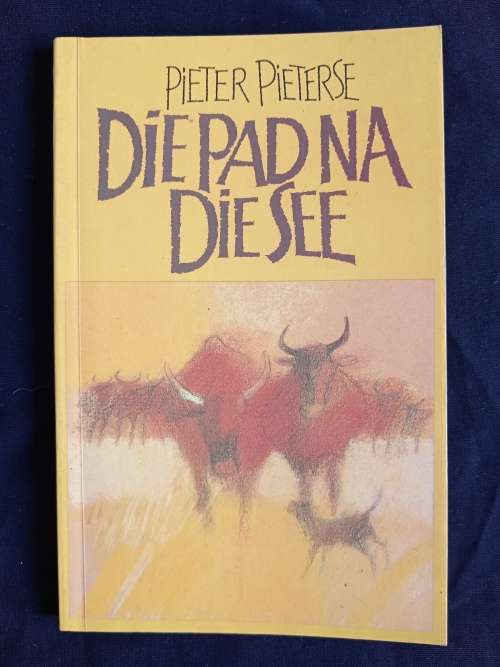 Die Pad na Die See by Pieter Pieterse
