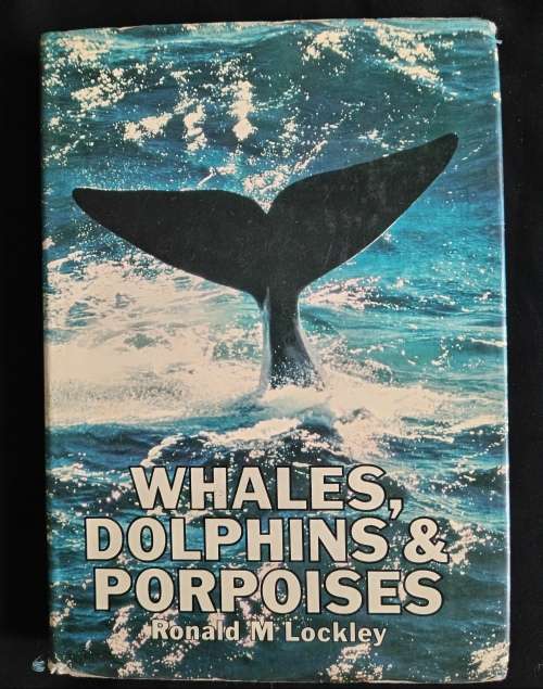 Whales, Dolphins & Porpoises by Ronald M Lockley