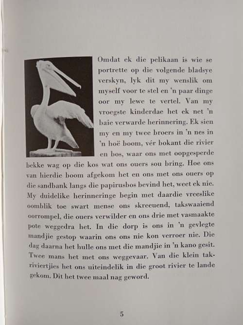 Albert Schweitzer: n Pelikaan Vertel by Hymne & Detlev Weiss