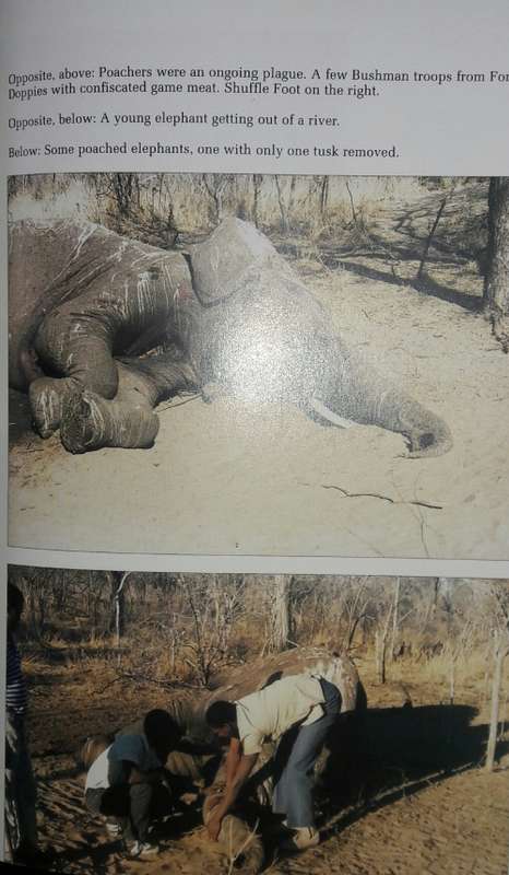 Eden`s Exiles - Jan Breytenbach