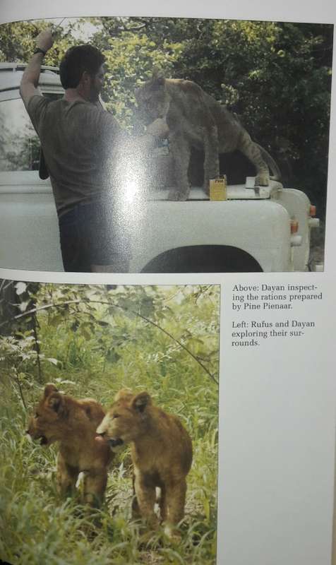 Eden`s Exiles - Jan Breytenbach