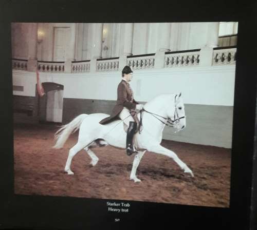The Lipizzaners and the Spanish Riding School - Wolfgang Reuter