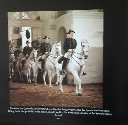 The Lipizzaners and the Spanish Riding School - Wolfgang Reuter
