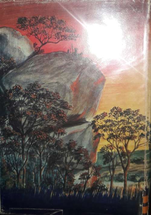 The History Of The British South African Police - Volume One - Peter Gibbs