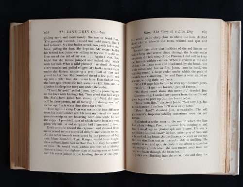 The Round-Up by Zane Grey