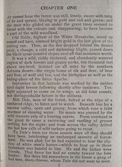 The Man of the Forest by Zane Grey