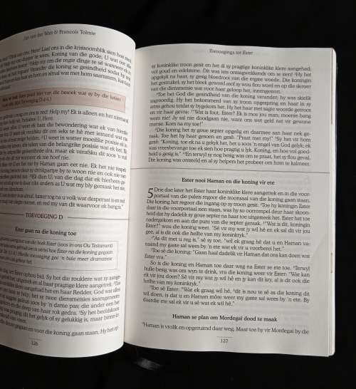 Apokriewe Ou & Nuwe Testament: Verlore Boeke uit die Bybel se tyd by Jan v/D Watt & Francois Tolmie