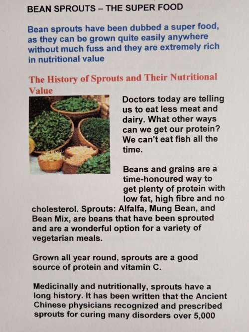 Sprouts - The Super Food