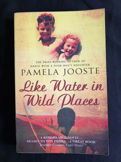 Like Water in Wild Places by Pamela Jooste