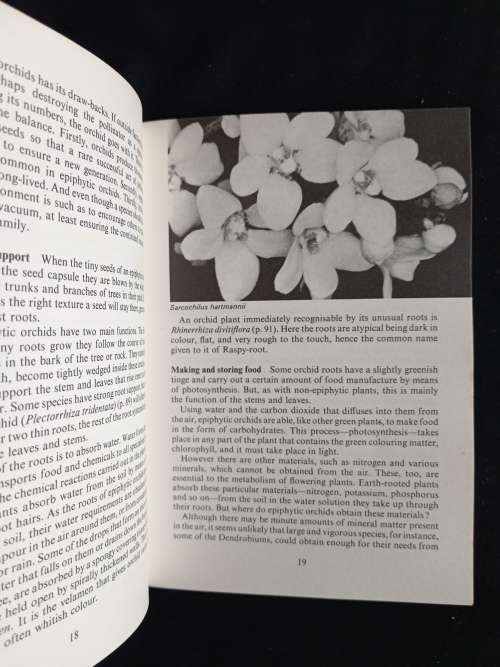 Australian Rock & Tree Orchids by Densey Clyne