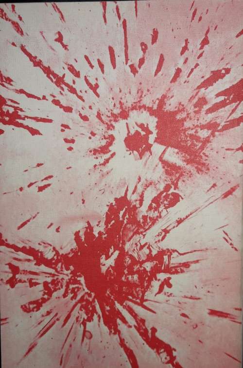 Amnesty For Terrorism - D C van der Spuy