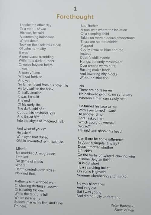 A War Artist`s Diary by Peter Badcock